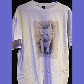 Boatneck APB Zig Zag Tee by APB